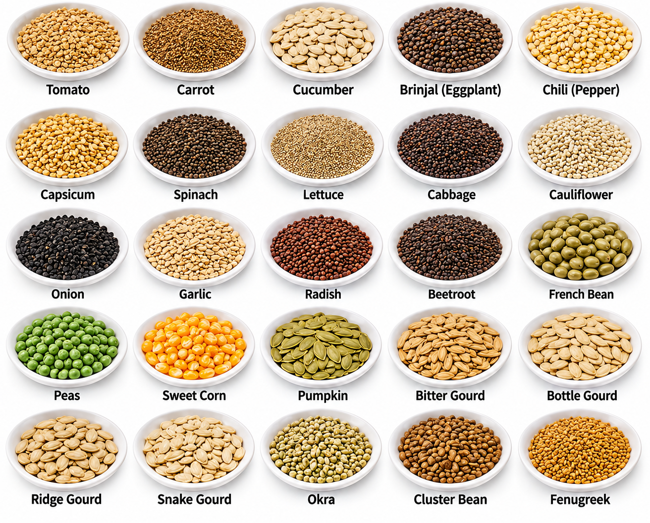 Vegetables Seeds