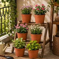 Garden Pots & Planters