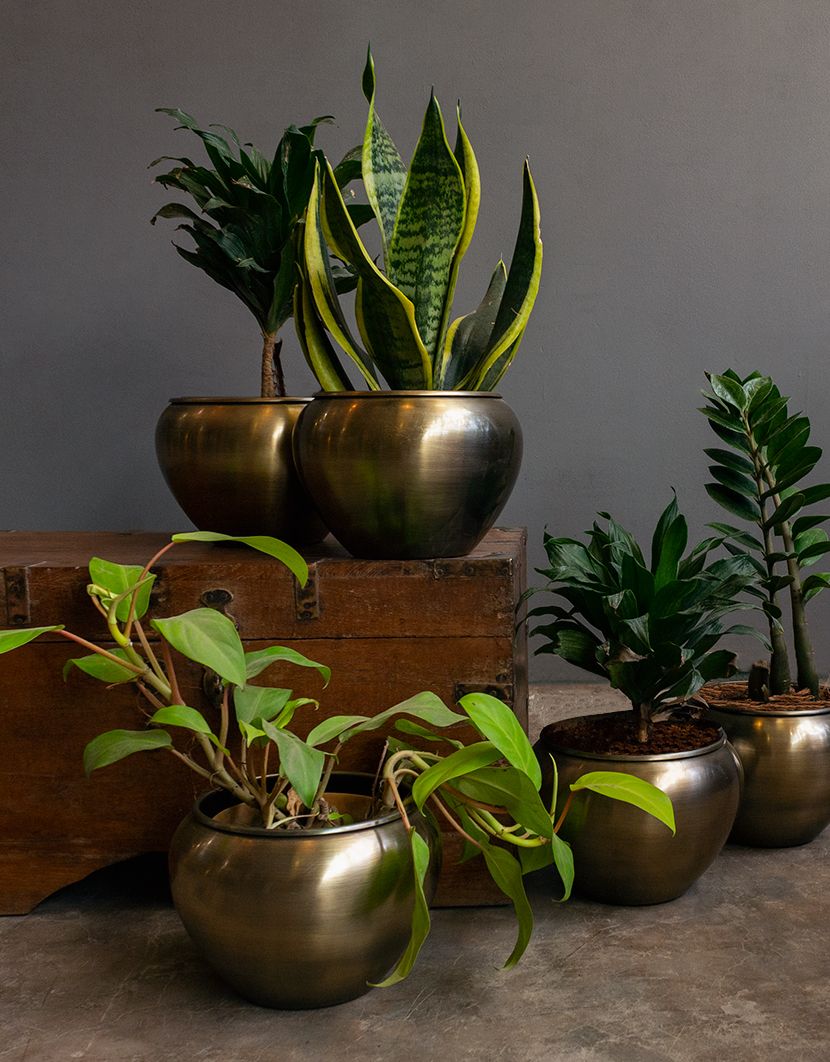 Metal Pots