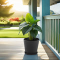 Polypropylene Pots