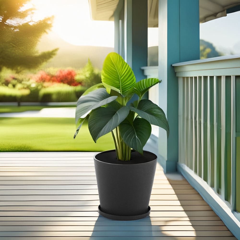 Polypropylene Pots