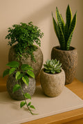 Stone Pots