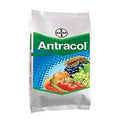 Antracol